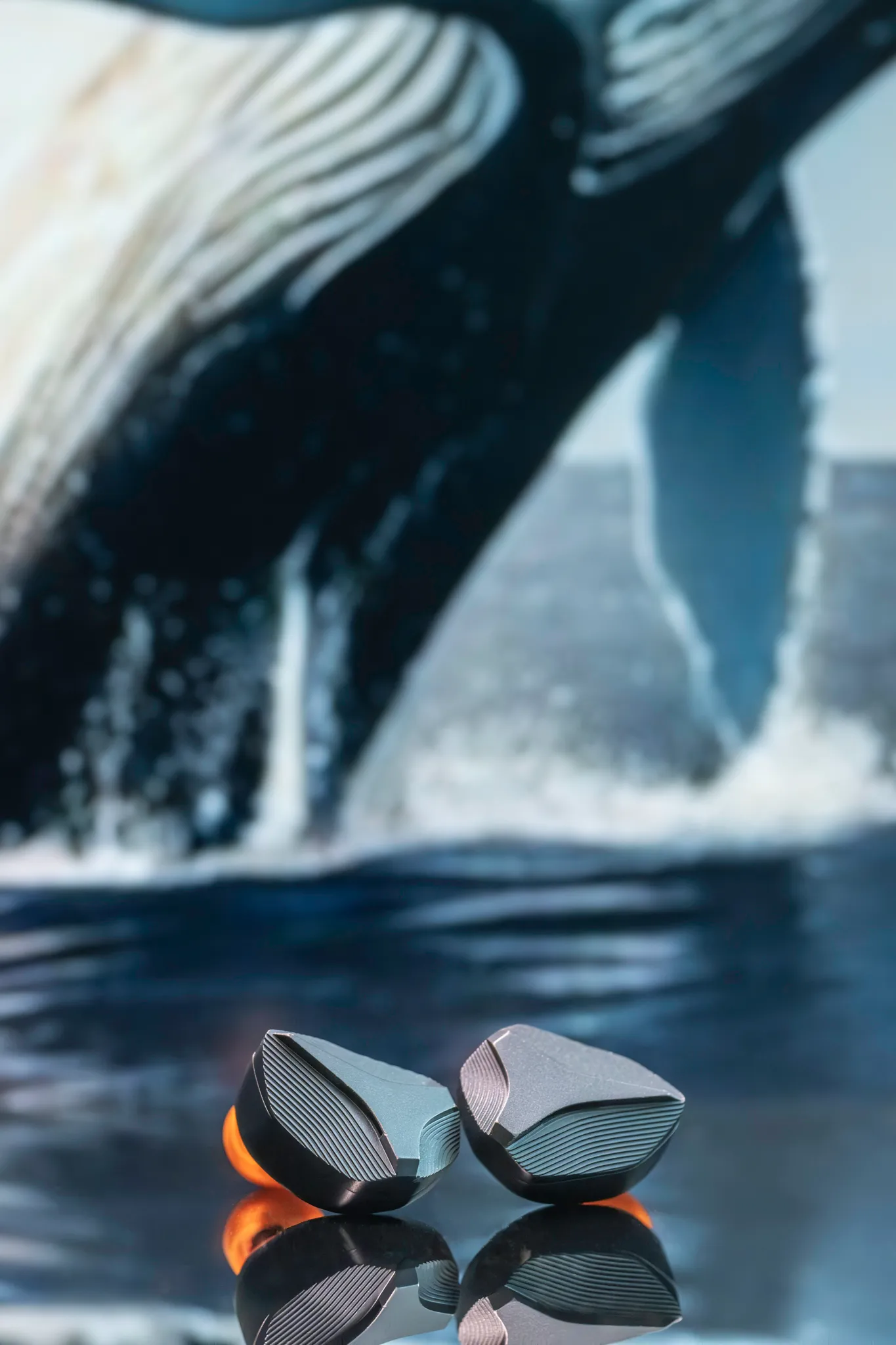 ARIF6695-Enhanced-NR-Edit.jpg ARIF6695-Enhanced-NR-Edit.jpg