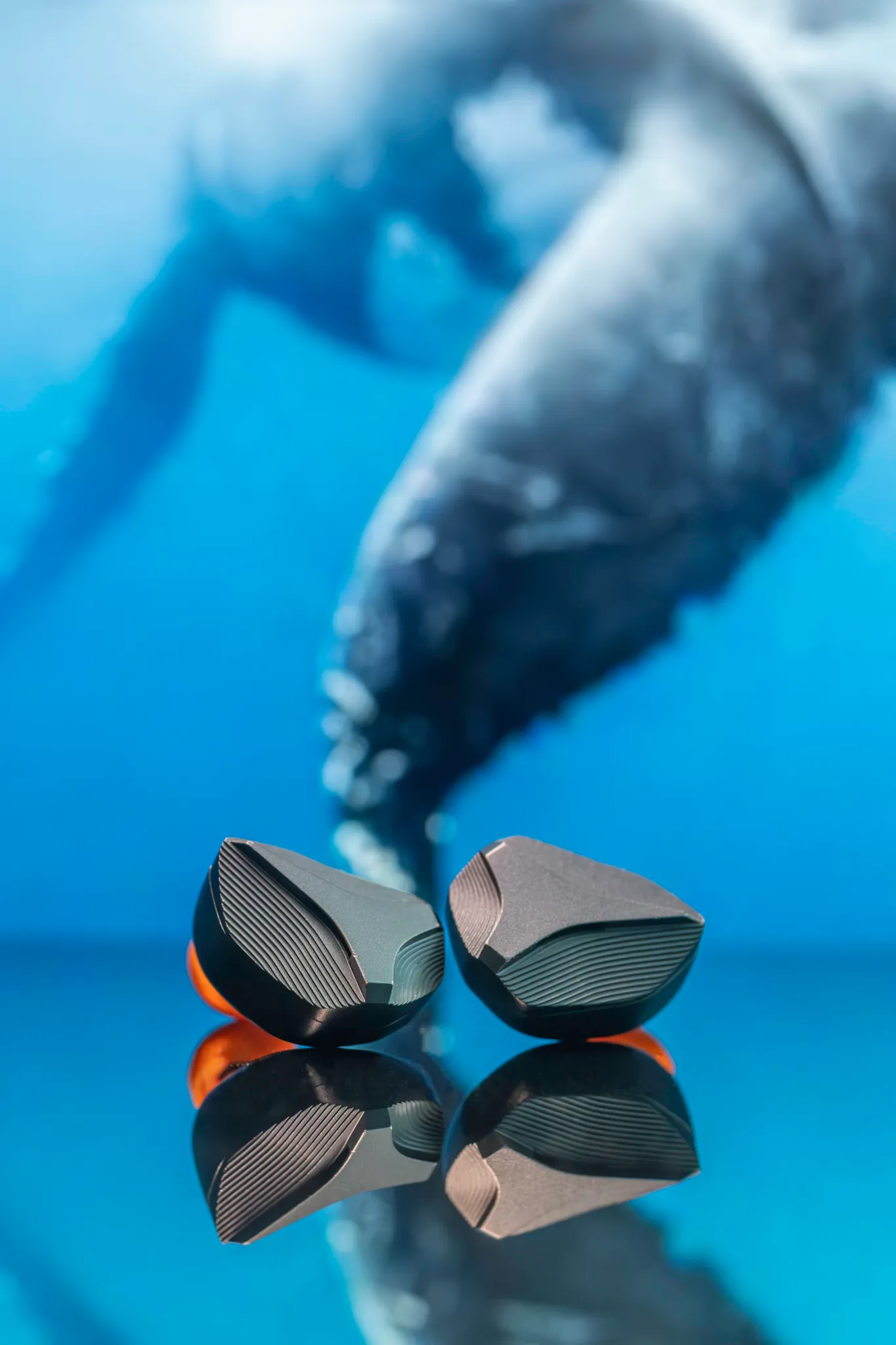 ARIF6705-Enhanced-NR-Edit.jpg ARIF6705-Enhanced-NR-Edit.jpg