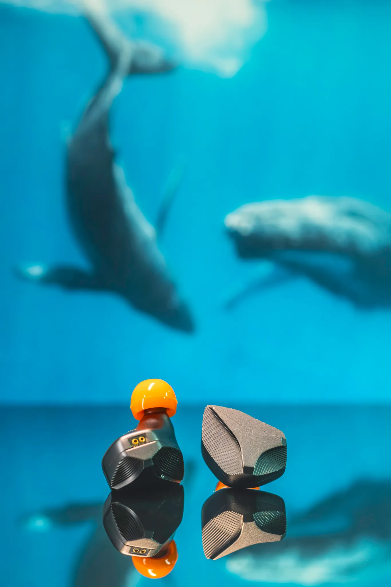 ARIF6736-Enhanced-NR-Edit.jpg ARIF6736-Enhanced-NR-Edit.jpg