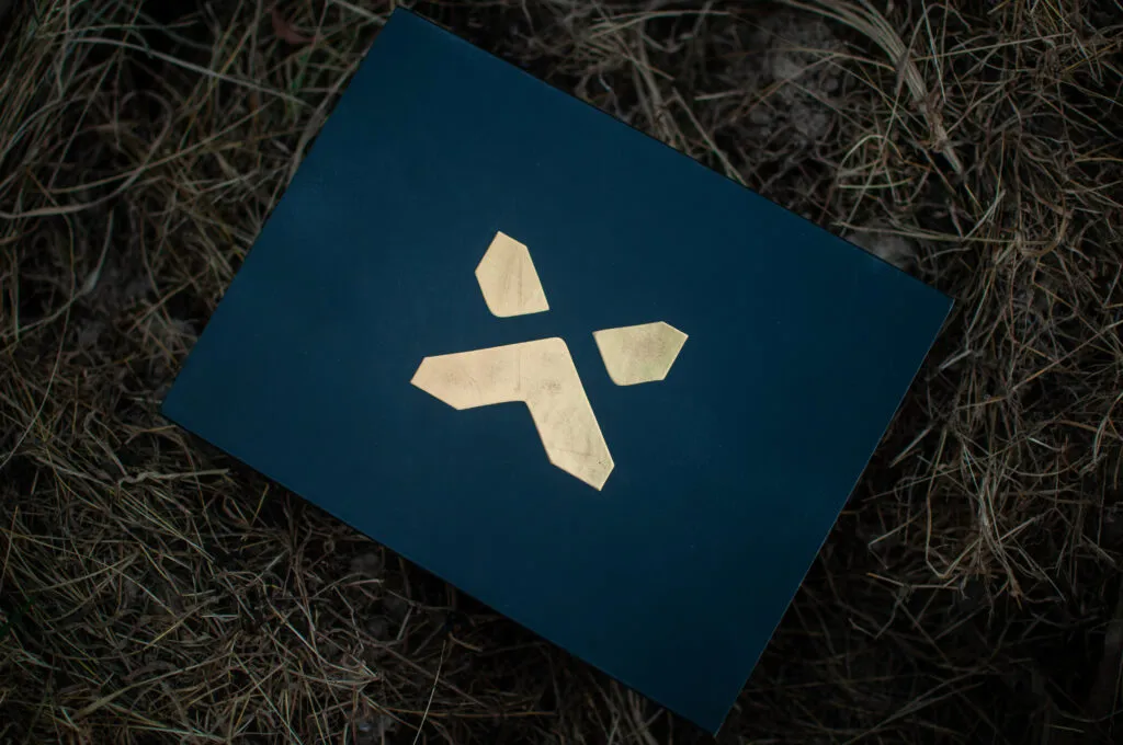 ROSESELSA QT-X Review || Bass Performer ? ROSESELSA QT-X