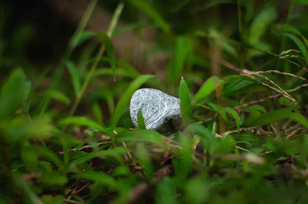 Hisenior Mega5EST Review: A Symphony of Emotions Hisenior Mega5EST Review: A Symphony of Emotions