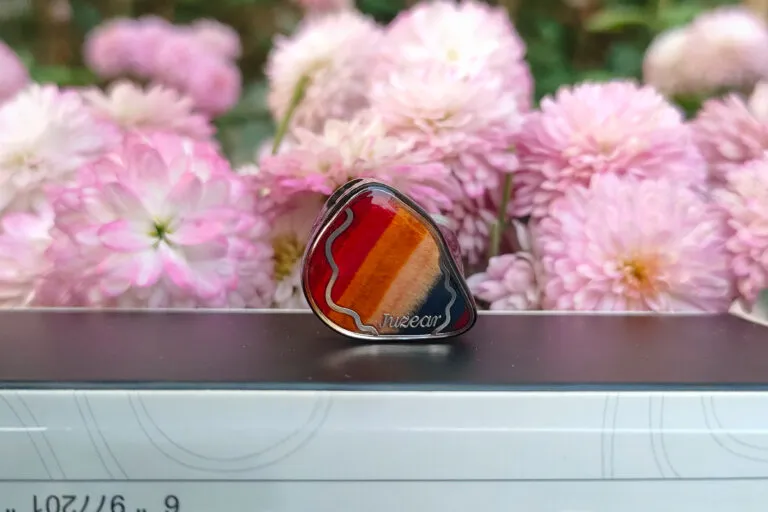 JUZEAR Dragonfly 81T Review: Detailed yet smooth JUZEAR Dragonfly 81T Review: Detailed yet smooth