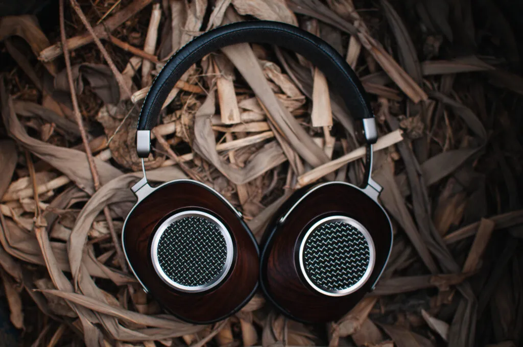 Sivga Anser Review – A Wooden Beauty with Warm, Balanced Sound Sivga Anser