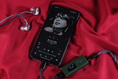 Zhuliniao Qingluan Z4 Review-12