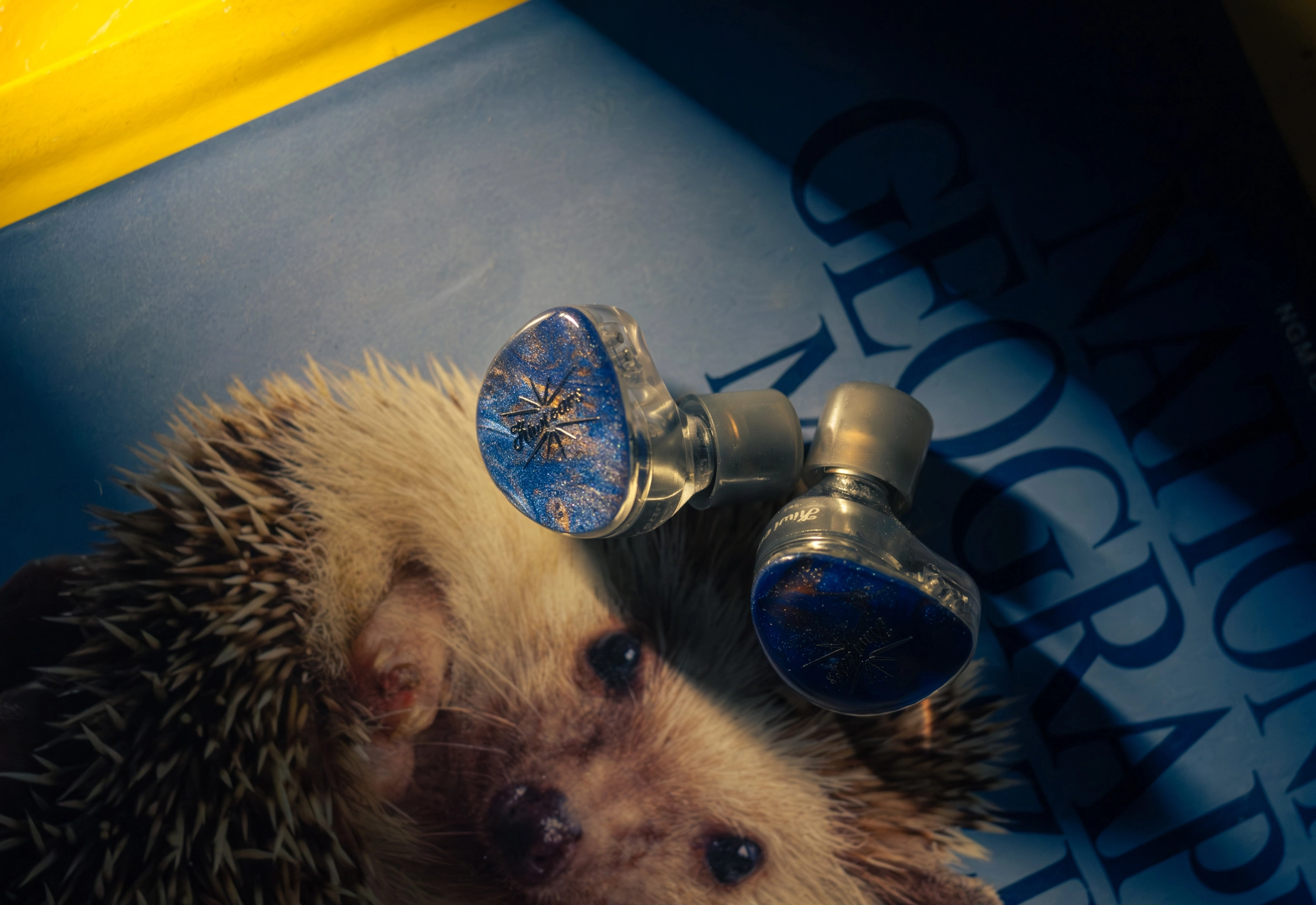 Kiwi Ears X Crinacle Singolo Review-01