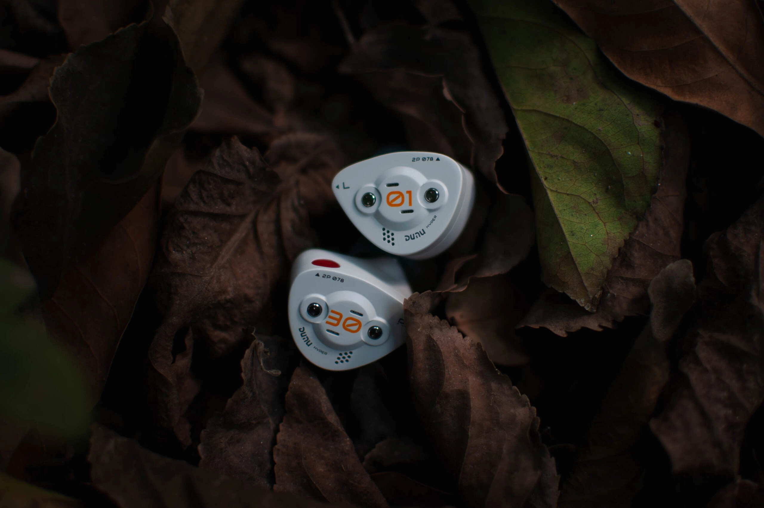 DUNU DK3001BD Review